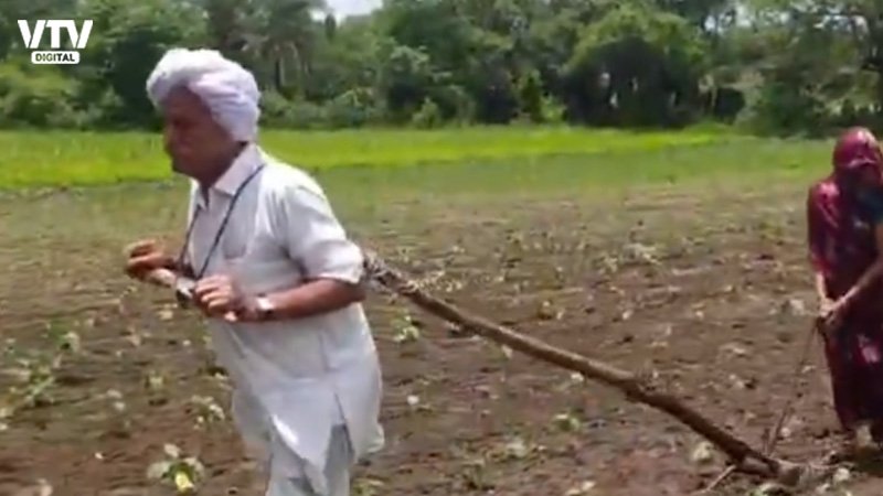 Sehore-Farmer-plough
