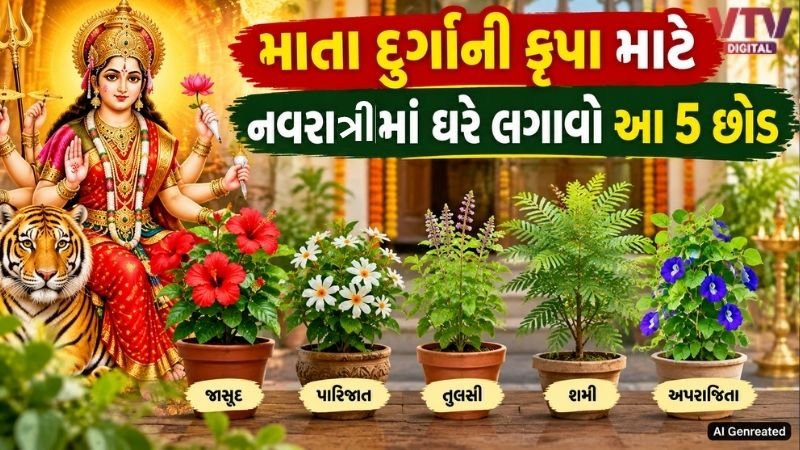 નવરાત્રિમાં ઘરે લગાવો આ 5 શુભ છોડ, વધશે સકારાત્મકતા