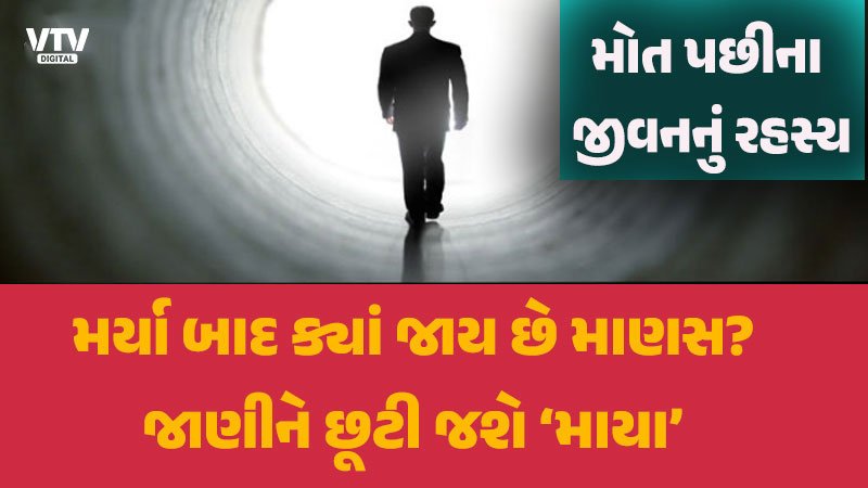 article-logo