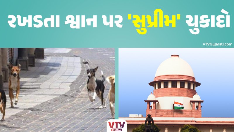 article-logo