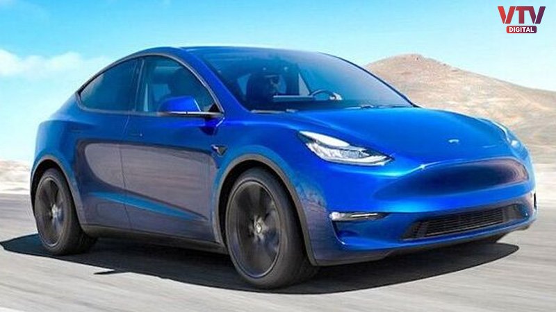 TESLA-2