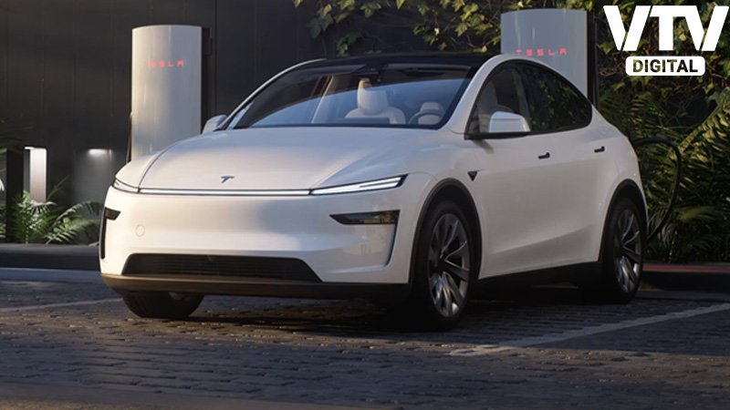 TESLA-Y-Model