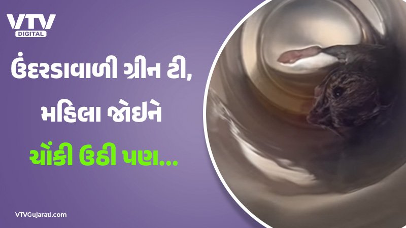 article-logo