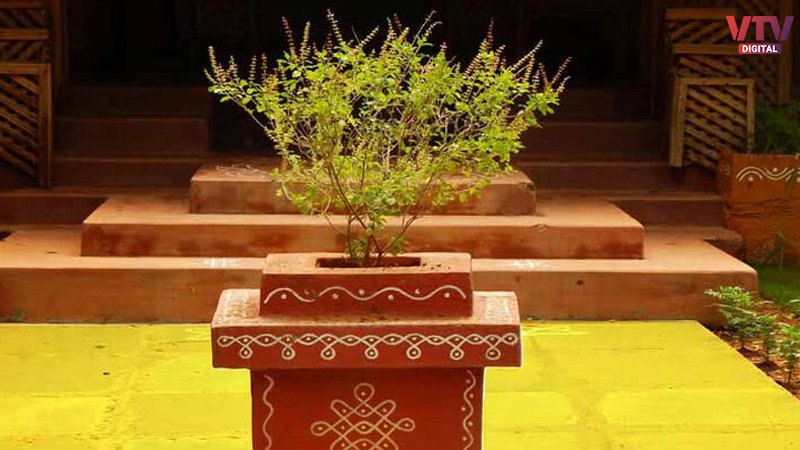 TULSI-2