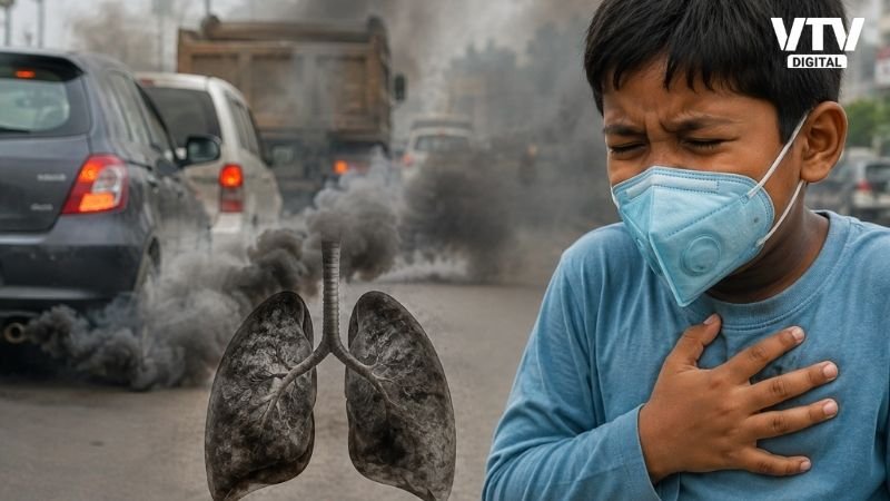 Vehicle Pollution