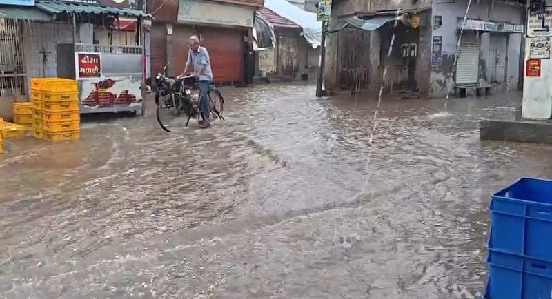 WhatsApp Image 2026-08-01 at 10.58.18 AM (2)