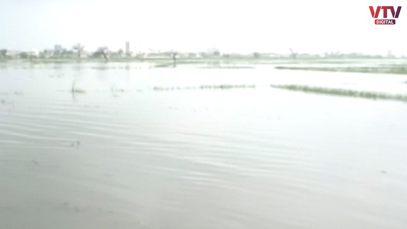 ahmedabad-kheti