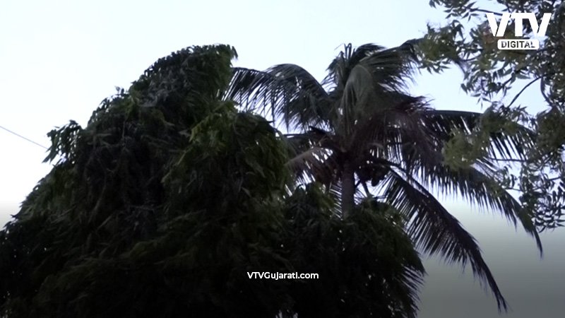 amdavad-pavan1