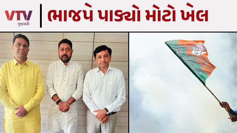 article-logo