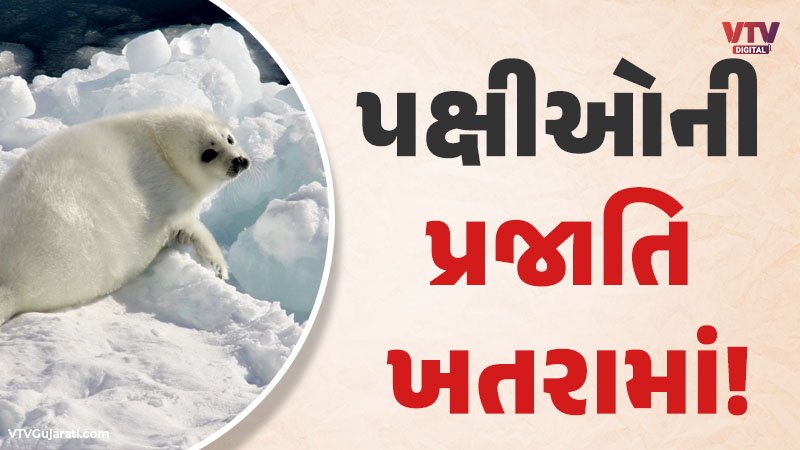 article-logo