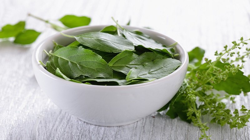 basil-leaves.jpg