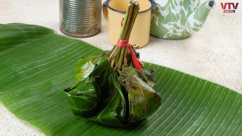 betal-leaves-3