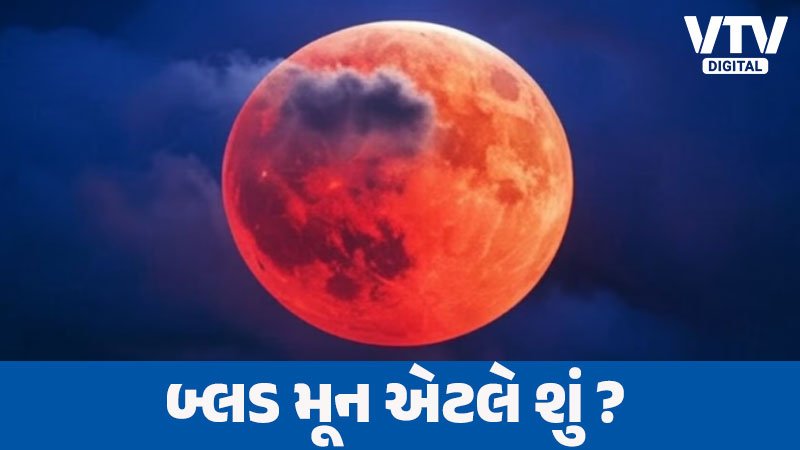 article-logo