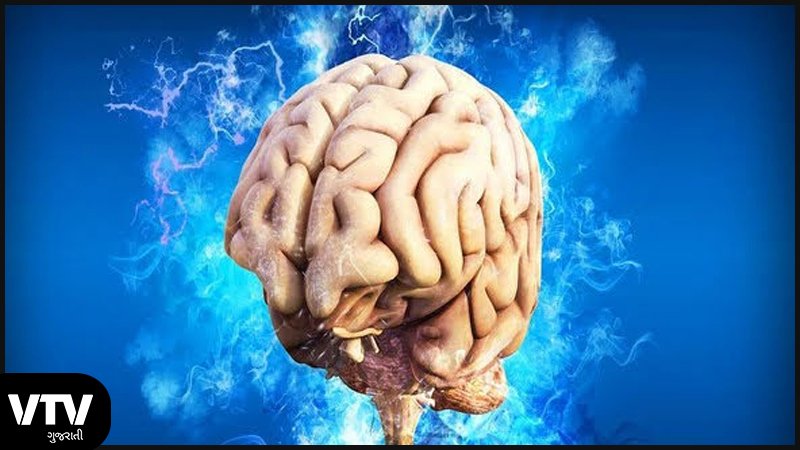 brain