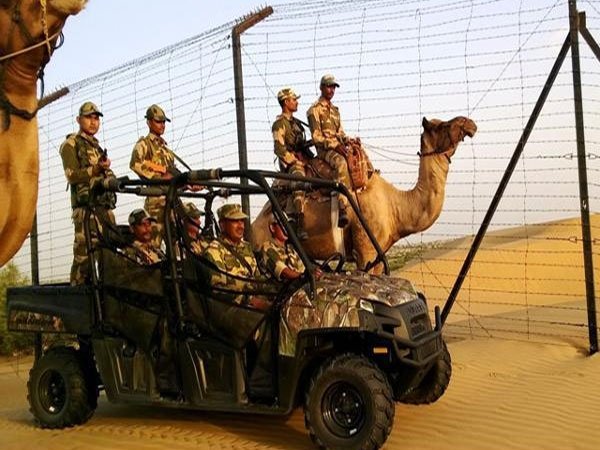 bsf6.jpg