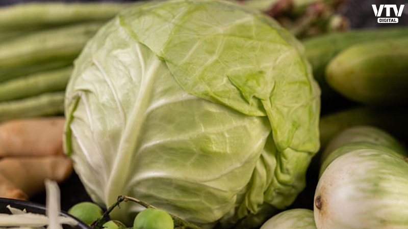 cabbage