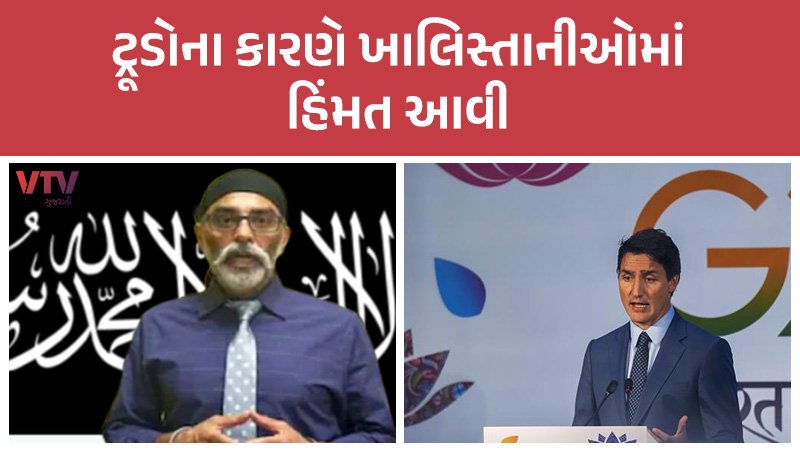 article-logo