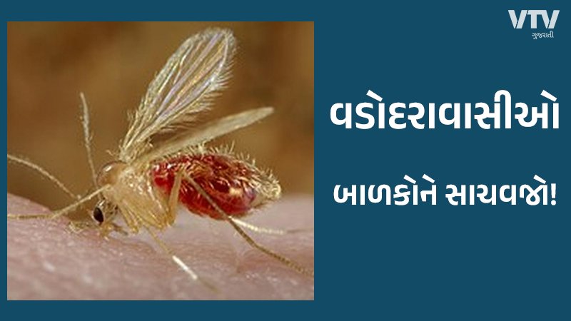 article-logo