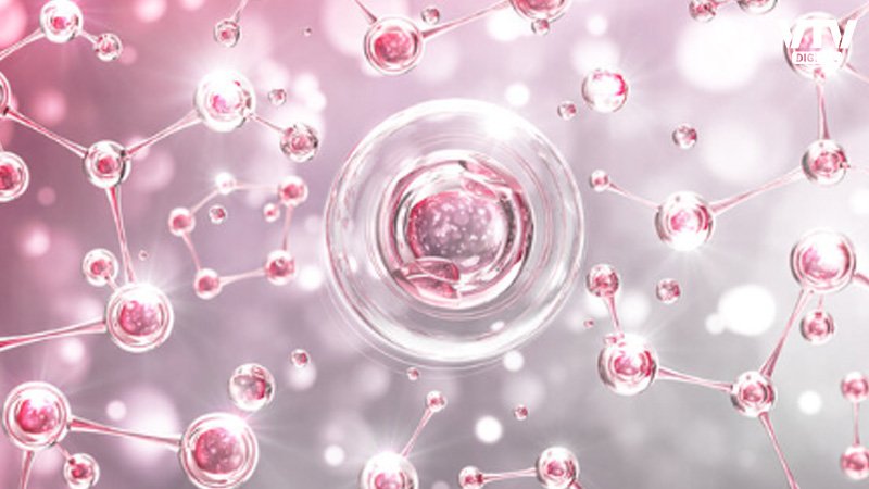 collagen-3