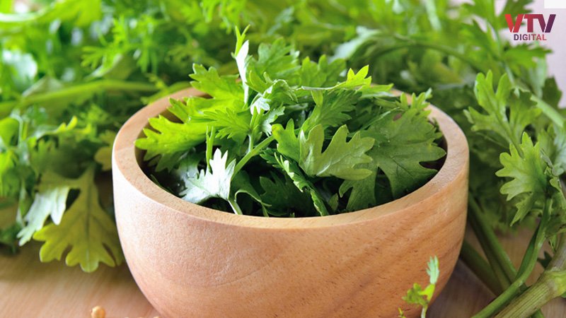 coriander