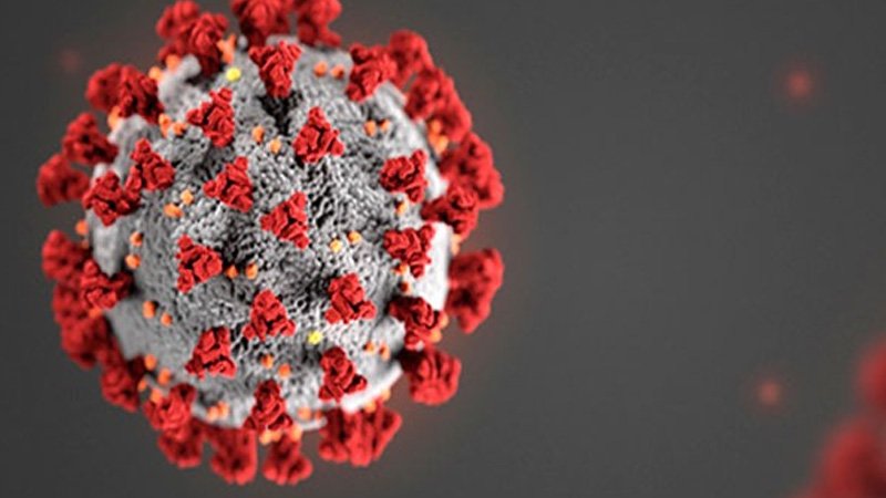corona-virus-000.jpg1_.jpg