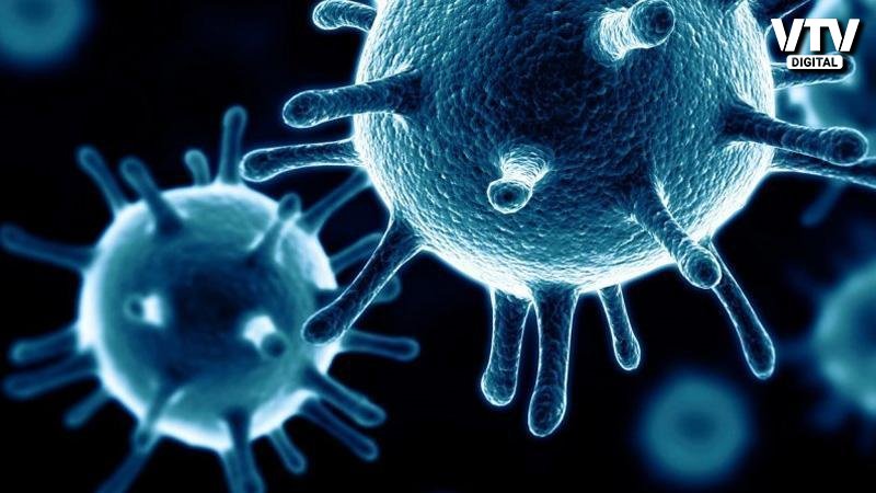 corona-virus-2