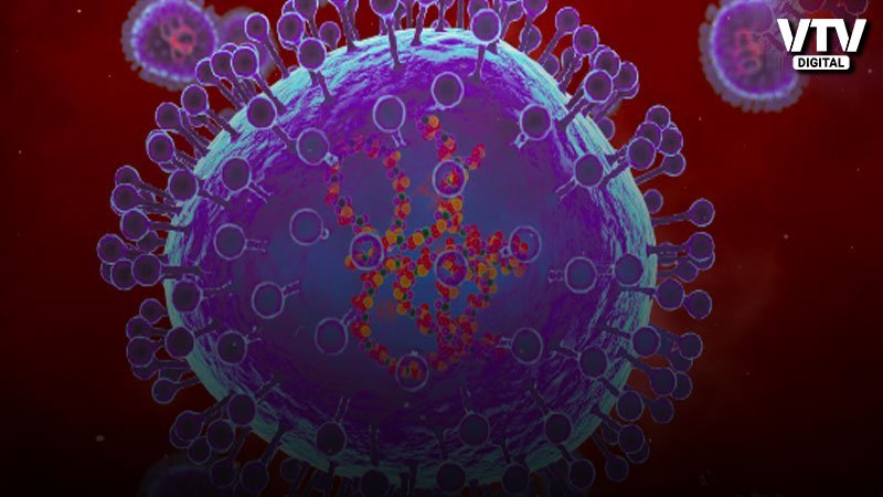corona-virus-3