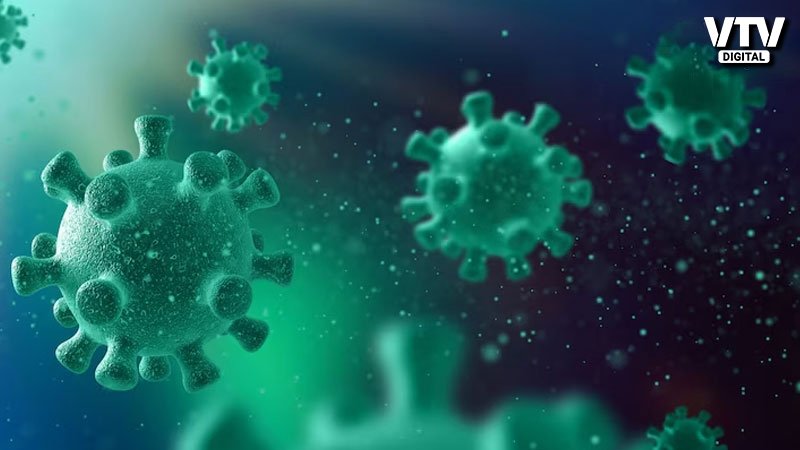 corona-virus-4