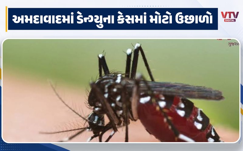 article-logo