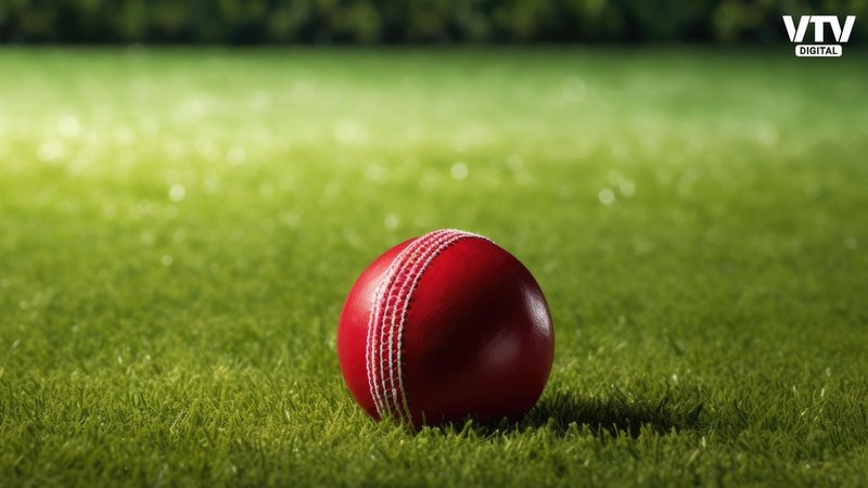 Cricket