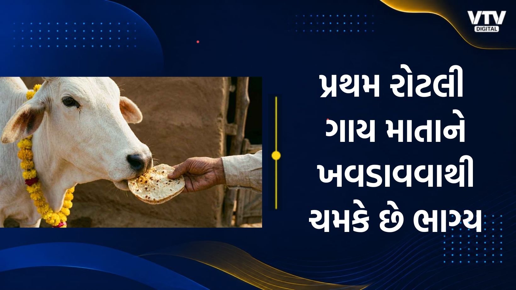 રસોઈની પહેલી રોટલી ગાયને શા માટે? જાણો પ્રાચીન પરંપરાનું મહત્વ