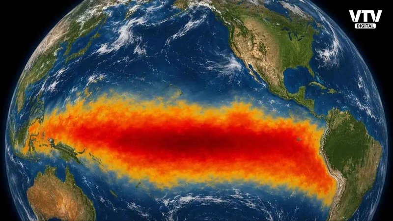 EL NINO AL NINO