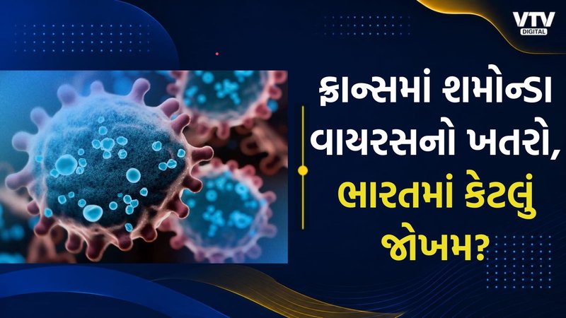 article-logo