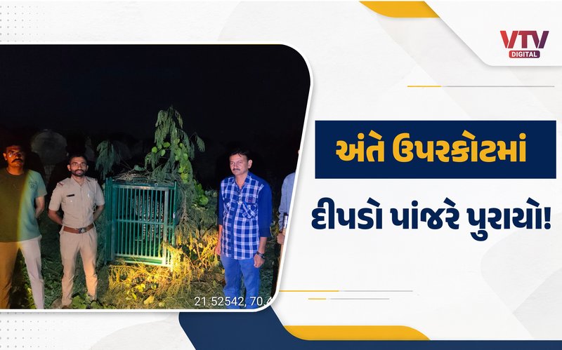 article-logo