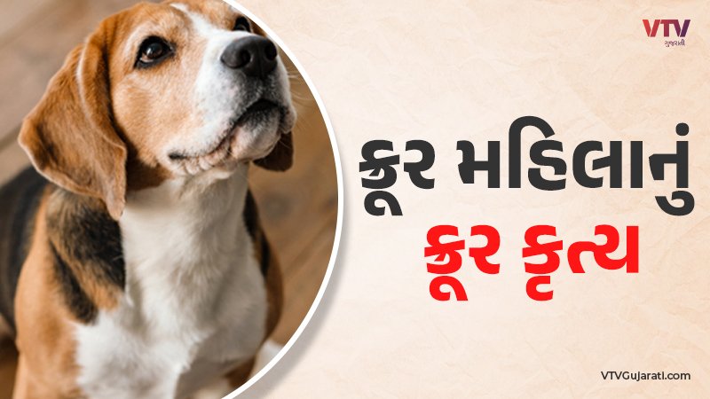 article-logo