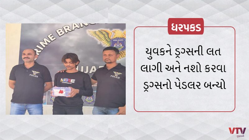 article-logo