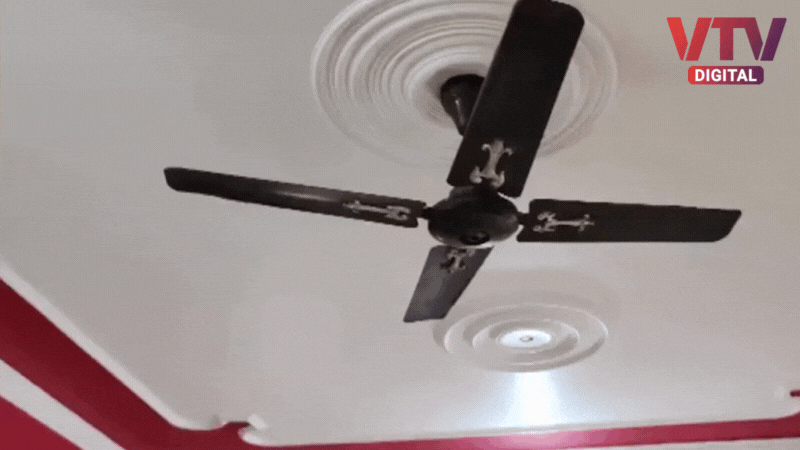 fan.original