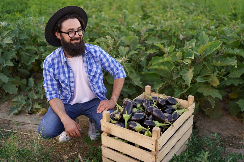 farmer-sitting-near-a-field-with-eggplant-2023-11-27-05-08-41-utc
