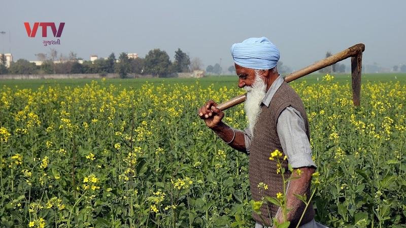 farmer_60_1_0