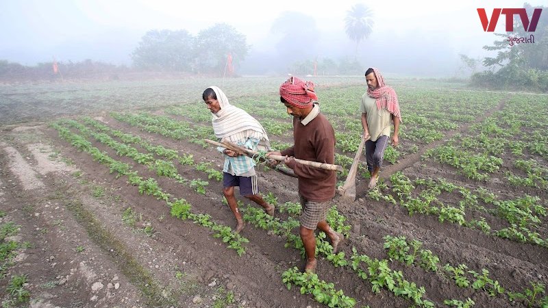 farmer_70