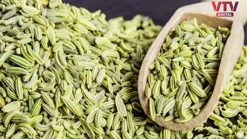 fennel-seeds-imple