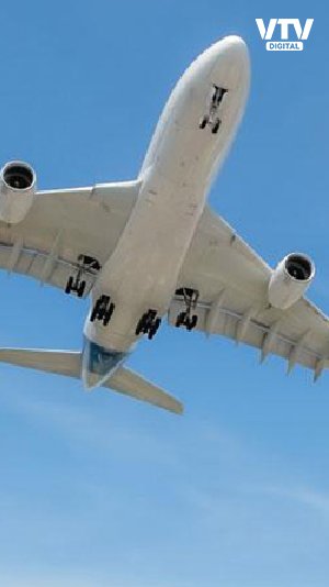 flight-1