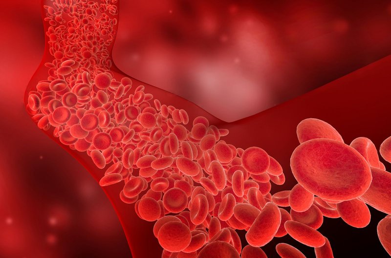 flow-of-red-blood-cells-into-the-blood-vessel-3d-2021-08-26-22-28-54-utc