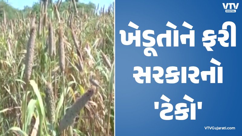 article-logo