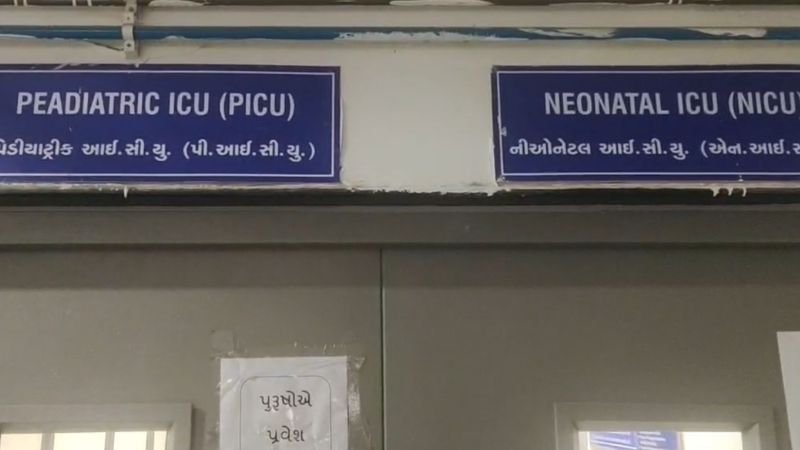 chandipura virus