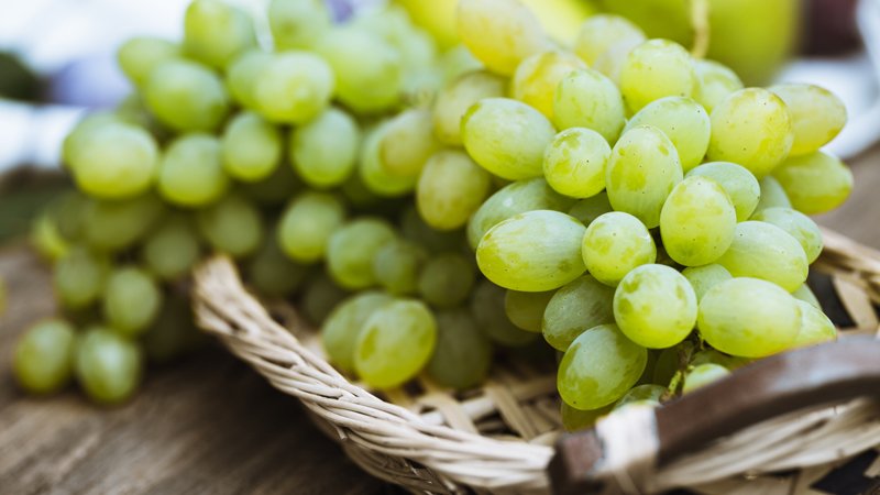 grapes.jpg