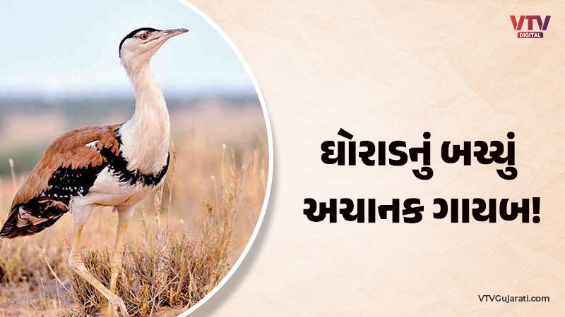 article-logo