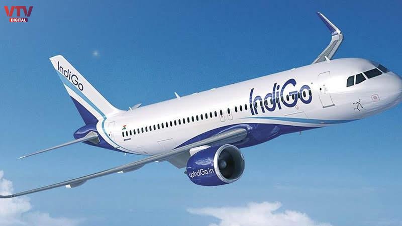 indigo-flight-vtv