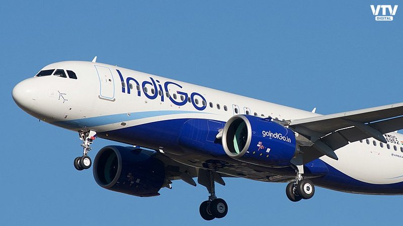 indigo