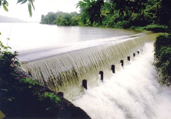 jalashay.jpg